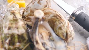 Fresh Oysters close-up with knife, served table with oysters. Healthy sea food. Oyster dinner in restaurant. Gourmet food. Top view. Close-up dolly shot. Slow motion 4K UHD video