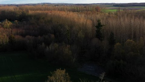 A birds eye view of the majestic forests of Cognac, France.