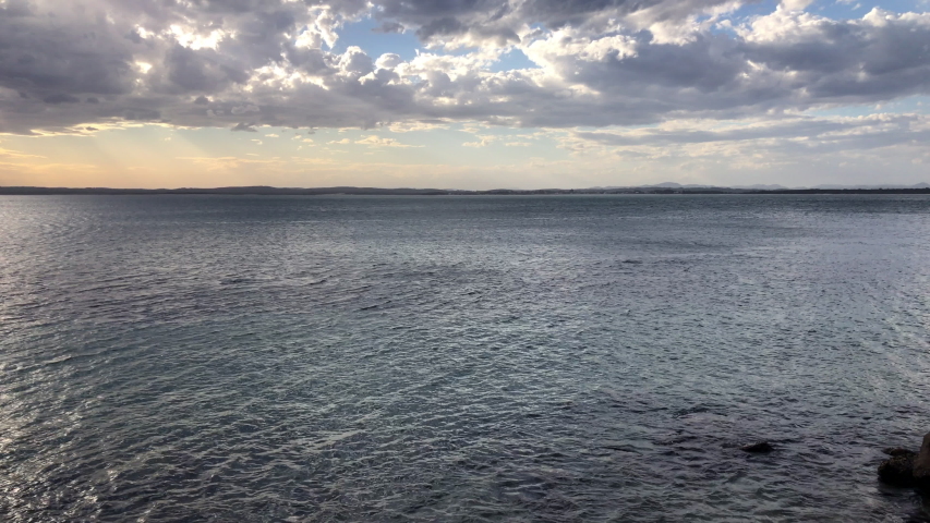 Dolphins swimming on dusk at Nelson Bay Port Stephens