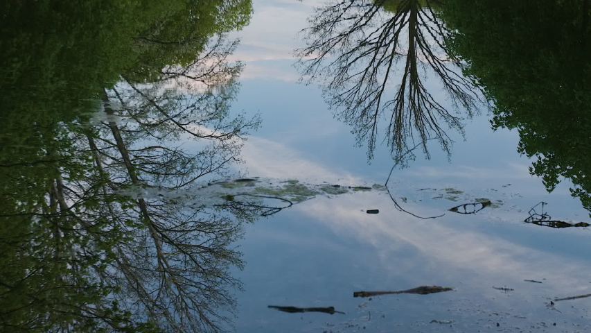 BEETHOVEN-HAYDN-MOZART MEMORIAL, TIERGARTEN BERLIN GERMANY