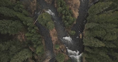 Vast west creek ranch water streams in Montana creepy woods outskirts (drone shot) (top down shot)