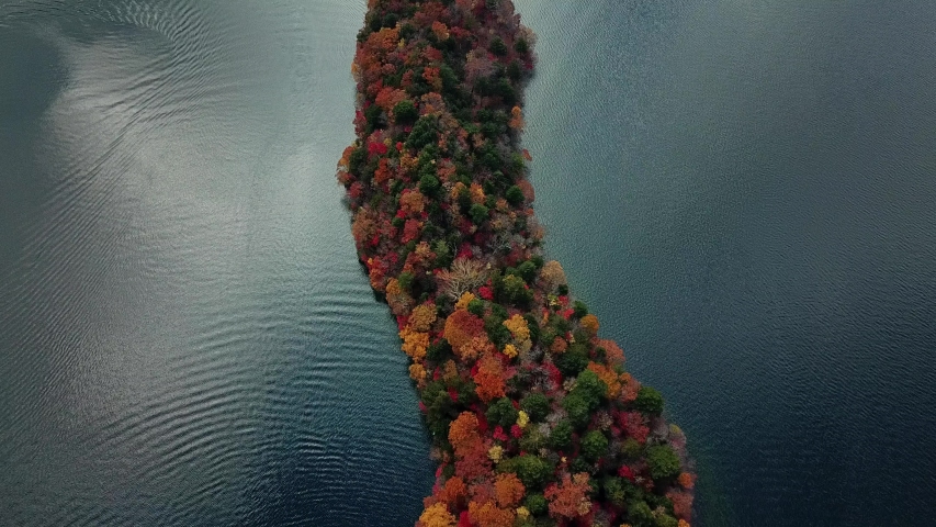 Nikko, located in Tochigi Prefecture, in the northern half of Japan’s main island, is world-renowned for its spectacular autumn foliage.