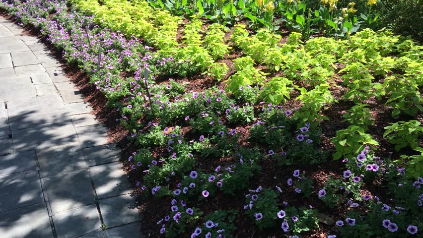 Dallas Arboretum- walking stone path with blooming flowers