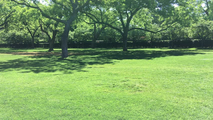 Dallas Arboretum- walking on grass surrounded by trees