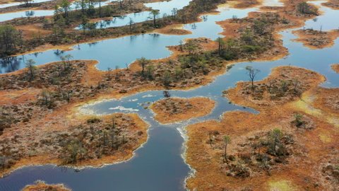 Estonian nature - Low aerial over colorful marsh looking over puddles