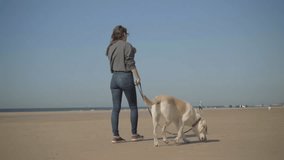 Slow motion shot of woman walking with dog on sandy shore. Smiling dog owner in eyeglasses strolling with labrador on seashore. Pet concept 