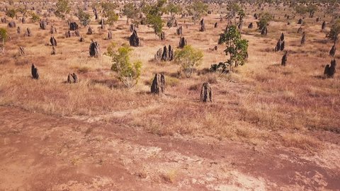 Aerial drone shot over termite house structures scattered across Australia's dry land.