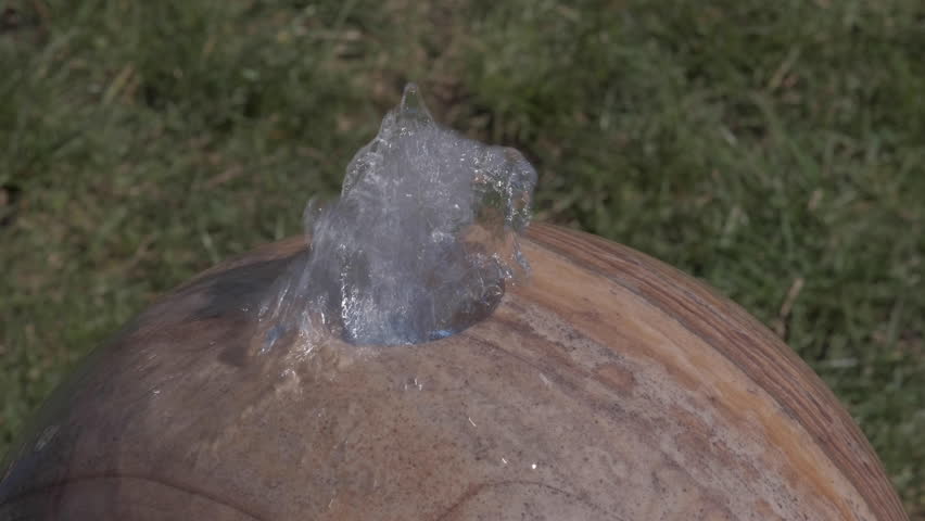 Garden water feature with water bubbling from the top of the stone