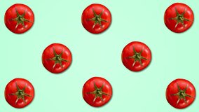 Abstract color animation of tomatos on pastel green background. 4K seamless loop clip art vegetable footage.