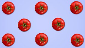 Abstract color animation of tomatos on pastel blue background. 4K seamless loop clip art vegetable footage.