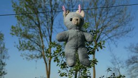 Hanging bear dries on lace, doll after washing in sunlight, 4K video