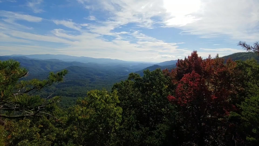 A view from the Foothills Parkway in the Great Smoky Mountains National Park with a bird flying in the background
