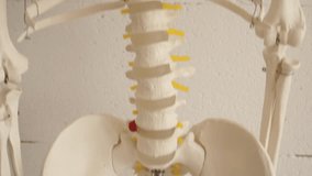 
4k video, the skeleton of the human body, the spine of a person with a back injury, back treatment through yoga