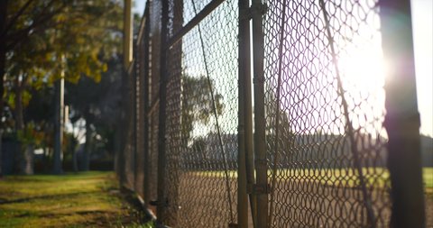 Rising up along a chain link fence gate with locks on it at sunrise outside of a grass baseball field in a public park.