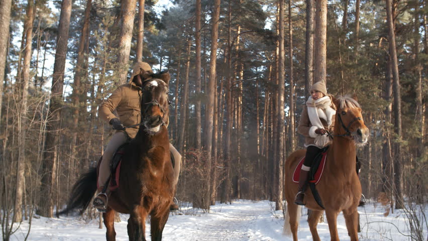 Joyous caucasian couple smiling and chatting while riding horses in pine forest on winter day