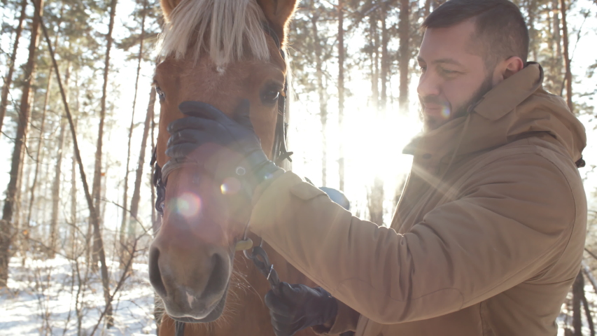 Cheerful caucasian man smiling and caressing horse with love while standing outdoor in forest on sunny winter day