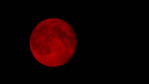 Blood Moon In The Night Sky