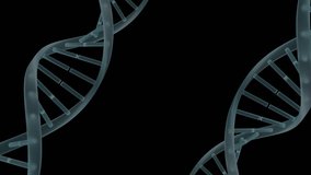 Digital animation of a brain between two DNA helix. Binary codes are flying in the foreground - Powered by Shutterstock - Get 15% off with code: PIKWIZARD15