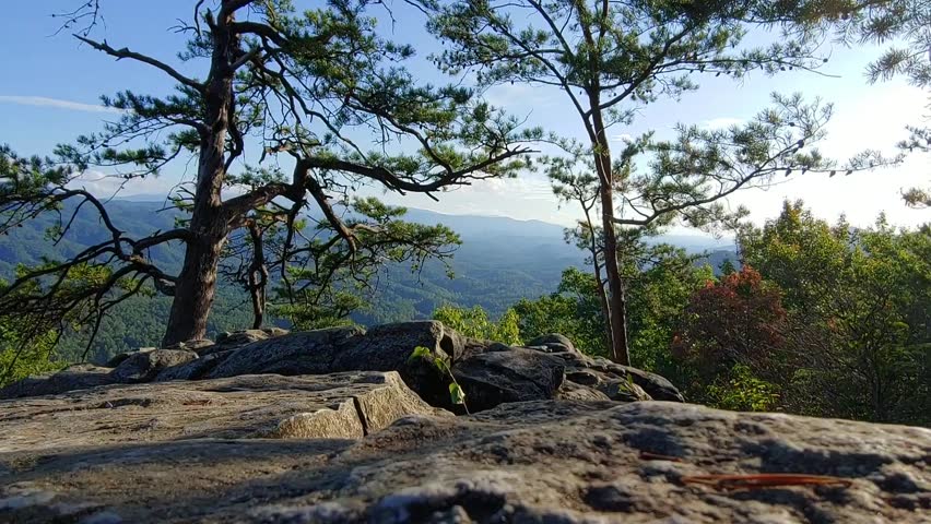 A view of the Great Smoky Mountains National Park with trees in the foreground filmed on a rock cliff in the Foothills Parkway located in the Smoky Mountains