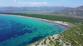 Aerial bird's eye view video taken by drone of tropical seascape and sandy beach with turquoise clear waters and pine trees