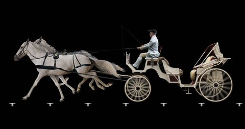 White horse-drawn carriage. Cyclic animation in two versions: with and without a coachman. Alpha channel is included. Can also use as a silhouette.