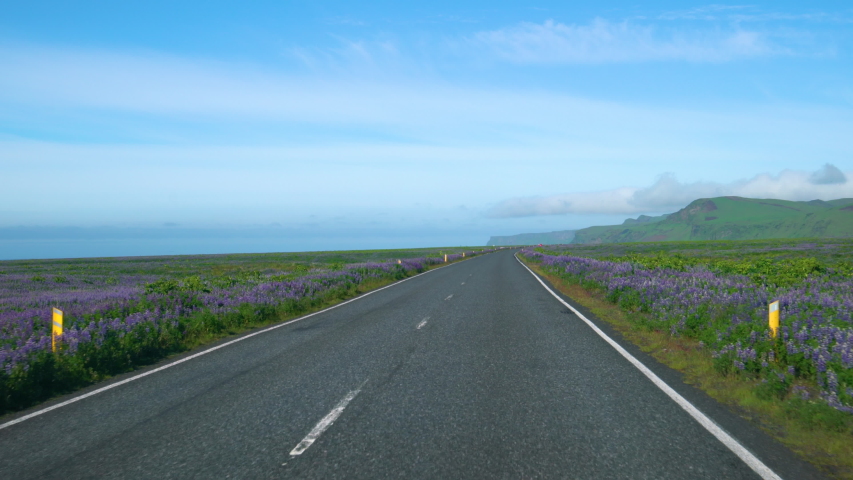 Iceland summer road trip. First person view of car driver POV driving along countryside road of Southern Iceland Golden Circle Highway, area near the village of Vik. | Shutterstock HD Video #1029433613