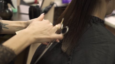 professional hairdresser in black lacy shirt cuts dark long hair holding scissors and beige comb close view