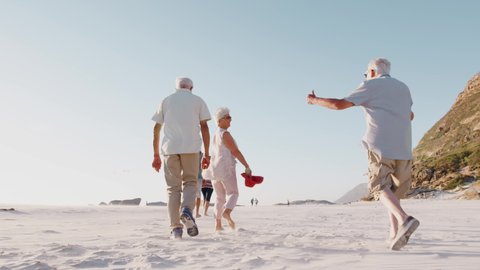 Rear View Of Senior Friends Walking Along Sandy Beach On Summer Group Vacation Vídeo Stock