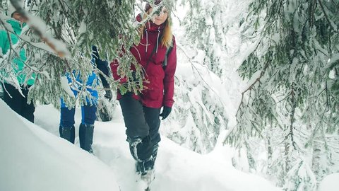 Family Hiking In WInter Concept.  Senior  Parents Trekking With  Their Children Walking Hiking Trail Through Snow Forest In National Park. Active Lifestyle, Senior Traveling. Trekking Wintry Woods. 