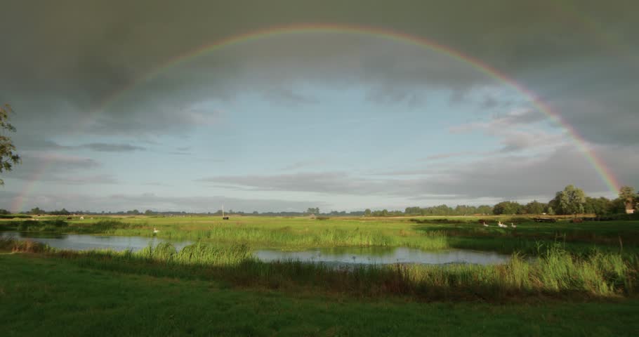 Full rainbow after heavy rain on pond with reed