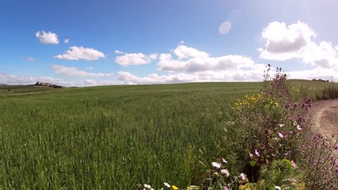 Beautiful Hay Field, Sicilian Landscape, Caltanissetta, Italy, Europe