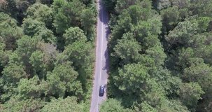 Travel by car in the woods 4K Drone Shot. Journey passing in green environment.
