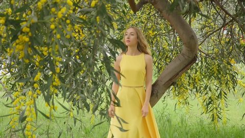 Young beautiful smiling woman with long blond hair in yellow dress standing under spring Australian Golden wattle tree in spring garden.