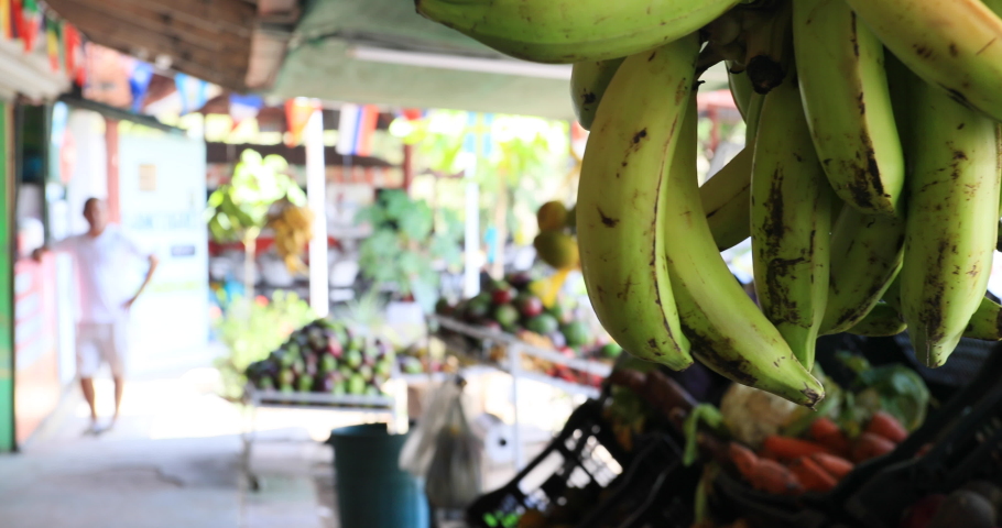 Puntarenas Costa Rica bananas fresh fruit vegetable stand. Local shops along street, road and highways. Produce, vegetables, fruit for sale.
