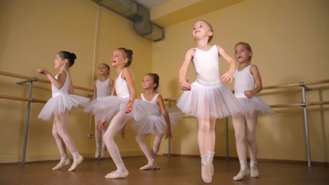Little Girls Ballerina Into Stock Footage Video (100% Royalty-free) 1029499121 |