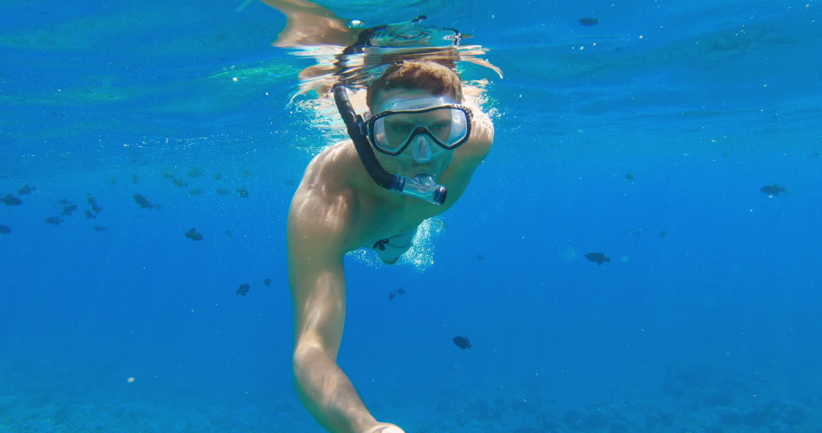 POV shot of young adventurous man snorkeling in tropical ocean water with fish, summer vacation fun | Shutterstock HD Video #1029503369