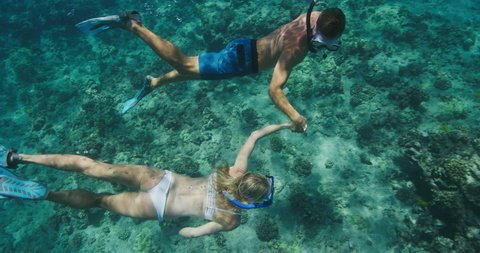 Attractive couple snorkeling together on tropical vacation, summer holidays in paradise