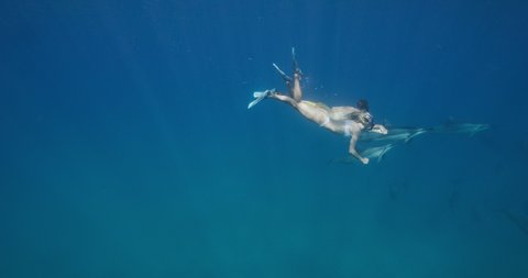 Adventurous couple swimming with dolphins in the ocean, amazing snorkeling adventure
