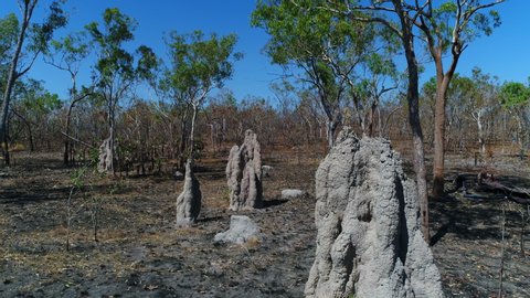 Aerial shots of termite mounds