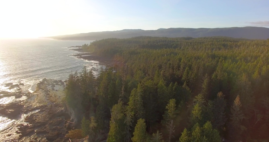 Aerial view of the Pacific Ocean Coast in Port Renfrew near Tofino and Ucluelet in Vancouver Island, British Columbia, Canada, 4K Royalty-Free Stock Footage #1029513092