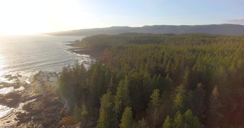 Aerial view of the Pacific Ocean Coast in Port Renfrew near Tofino and Ucluelet in Vancouver Island, British Columbia, Canada, 4K