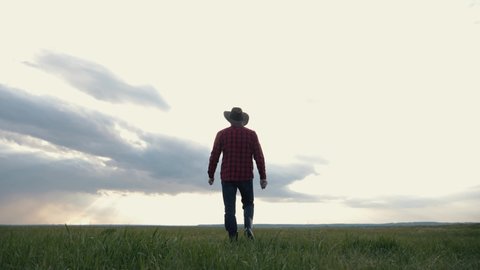 A man farmer walks across the field at sunset. The agronomist checks the agricultural products planted on the field. Way to success. : vidéo de stock