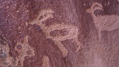 Panning view of petroglyphs on red rock in Utah in Nine Mile Canyon looking like bighorn sheep.