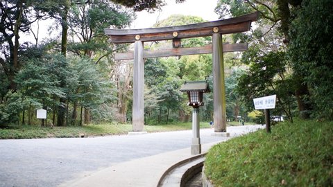 Pov walking by Meiji shrine entrance street road with tourist people walking in Tokyo with green tree foliage during spring by lantern and gate