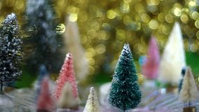 pan of bottle brush tree forest with gold bokeh background, great holiday scene - Powered by Shutterstock - Get 15% off with code: PIKWIZARD15
