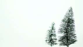 Green bottlebrush trees on white background slides into frame. - Powered by Shutterstock - Get 15% off with code: PIKWIZARD15