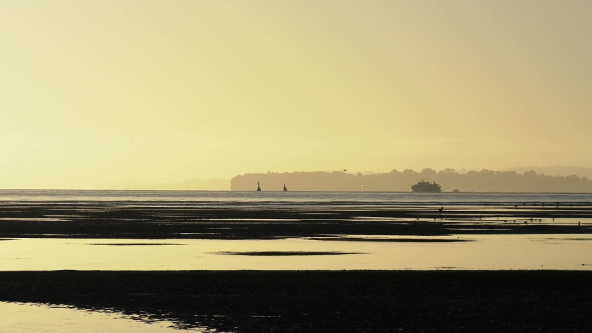 A still video of the sunrise horizon seen from a beach on an early morning as the silhouettes of birds and a sailing ferry move in the scene. Positive and peaceful morning scenery. UHD