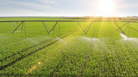 Aerial view drone shot of irrigation system on agricultural field with sun rays helps to grow plants in the dry season, increases crop yields