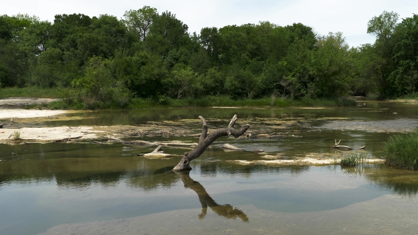 Panning right, with a slight zoom out, of a Texas marshy river on a hot, spring day. Lush greenery surrounds the scene. Located at McKinney Falls in Texas.