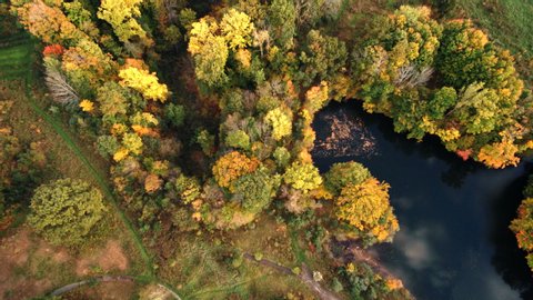 Birdseye view of autumn trees and river